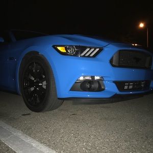 Meet your Posher, Skye